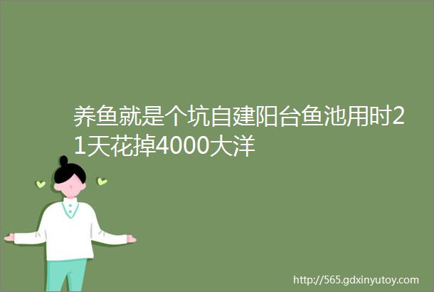 养鱼就是个坑自建阳台鱼池用时21天花掉4000大洋