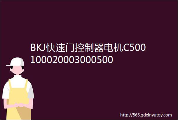 BKJ快速门控制器电机C5001000200030005000快速门伺服