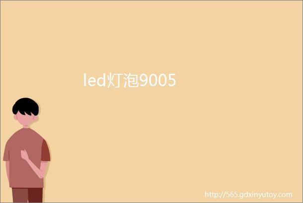 led灯泡9005